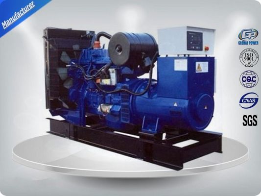 China 10Kva open Perkins-Diesel Genset/Blauwe Diesel Met water gekoelde Generator In drie stadia leverancier