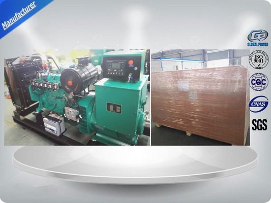 China Wereldwijde 10kw - 1000kw biomassagasgenerator met gasgenerator leverancier