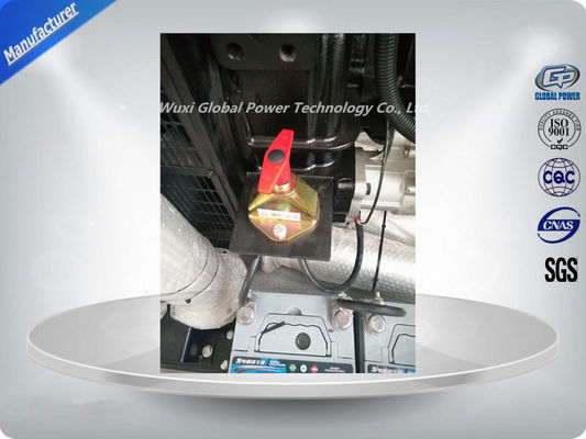 250 KW / 313 KVA Open Diesel Generator Wereldwijde Stroom Diesel Aangedreven Generator leverancier